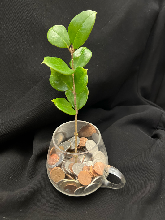 The Importance of Zakat in Islam