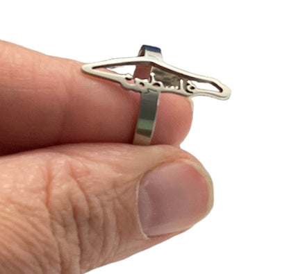 Palestine map ring - stainless steel